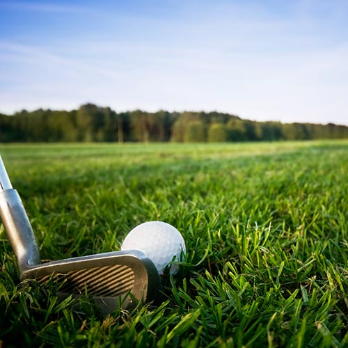 GOLF CLUB